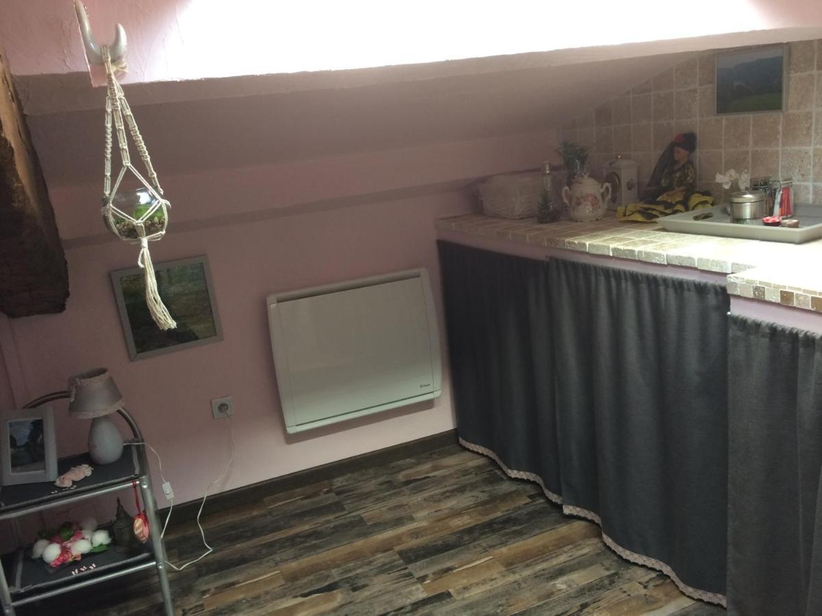L'Ancienne Forge Apartment Aigonnay Ngoại thất bức ảnh